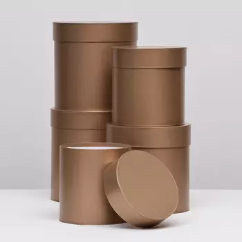 Набор круглых коробок 5в1 "Бронза перламутровая", 20 20 15 15 см