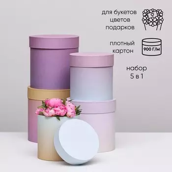 Набор круглых подарочных коробок 5 в 1 «Градиент стиля», 20 20 2013,5 13,5 13,5 см