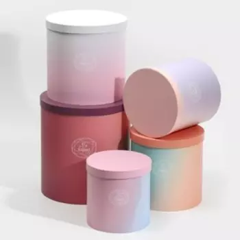 Набор круглых коробок 5 в 1, упаковка подарочная, «Пантон 08», 23 х 23 х 25 15 х 15 х 15 см