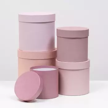 Набор круглых подарочных коробок 5 в 1 «Пудра», 20202013.513.513.5 см