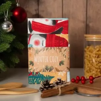 Набор новогодних кухонных полотенец Доляна «Снежного настроения » 3560 см-2 штуки, 100% хлопок