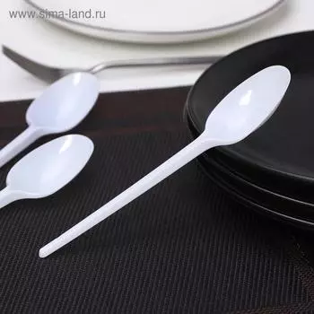 Ложки одноразовые Мистерия, набор 12 шт., пластик, 16.5 см, столовые, белые