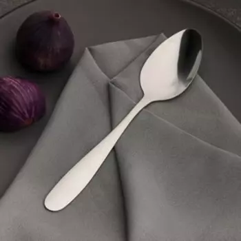 Набор ложек столовых Доляна «Симпли», длина 20.5 см, 6 шт., нержавеющая сталь, серебристый