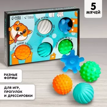 Набор мячей для собак «Самый ловкий, самый быстрый», 5 шт.