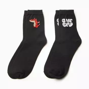 Набор мужских носков KAFTAN "С НГ БРО" размер 41-44 (27-29 см), 2 пары