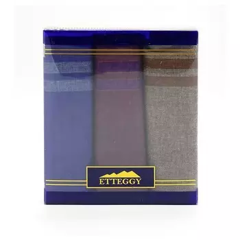 Набор мужских носовых платков в коробке Etteggy PD15D 38х38 3шт, МИКС, батист 73г/м, хл100