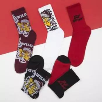Набор мужских новогодних носков KAFTAN "Wild" 5 пар, р-р 41-44 (27-29 см)