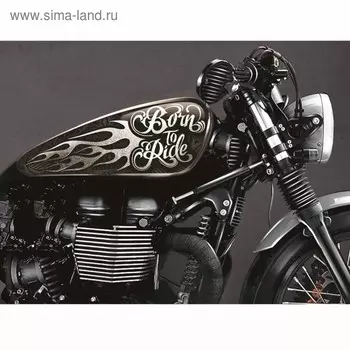 Набор наклеек на мотоцикл Born to ride, 2 шт