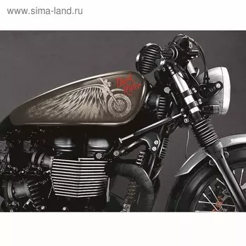 Набор наклеек на мотоцикл Dark Rider, 2 шт