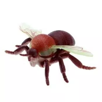 Набор насекомых «Лесные», 5 штук