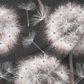 Набор наволочек, размер 50х70 см, 2 шт