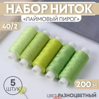 Нитки «Лаймовый пирог», 40/2, 200 м, набор 5 шт., разноцветные