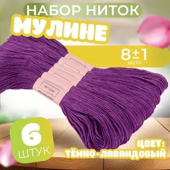Нитки мулине №3348, 8±1 м, набор 6 шт., фиолетовый
