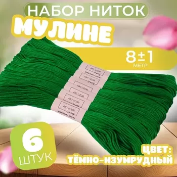 Набор ниток мулине №3818, 8±1 м, 6 шт., тёмно-зелёный