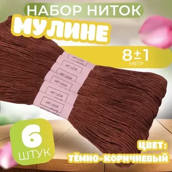 Нитки мулине №3857, 8±1 м, набор 6 шт., тёмно-коричневый