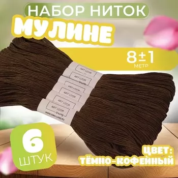 Набор ниток мулине №938, 8±1 м, 6 шт., тёмно-коричневый