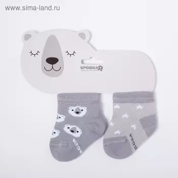 Носки детские Крошка Я «Мишка», 2 пары, 8-10 см