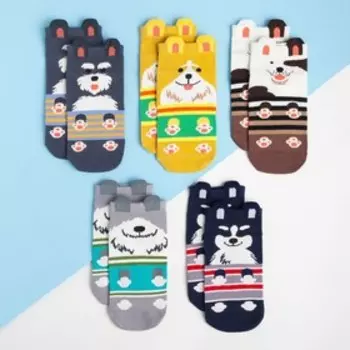 Носки детские «В улетных носочках» 5 пар, 22-24 см, хлопок