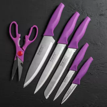 Набор ножей «Колорит», лезвие 9 см, 13 см, 20,5 см, 20,5 см, 20 см, на подставке, цвет фиолетовый