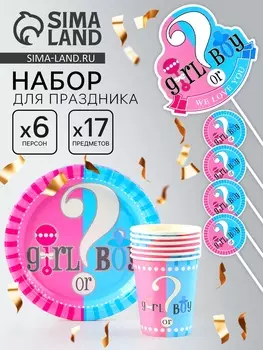 Посуда одноразовая бумажная для праздника «Гендер Пати», на 6 персон, 17 предметов