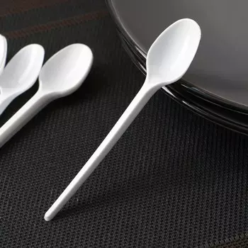 Набор пластиковых одноразовых ложек чайных Мистерия, 12.5 см, 12 шт., белый