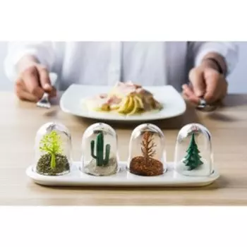 Набор ёмкостей для специй Four Seasons