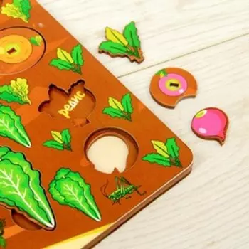 Набор «Овощи на грядке»