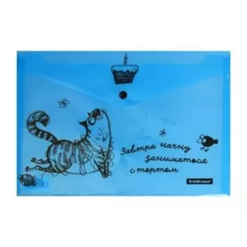 Набор папок-конвертов на кнопке А4, 160 мкм, ErichKrause Zen Cats, полупрозрачная, 4 шт., глянцевая, с принтом, микс