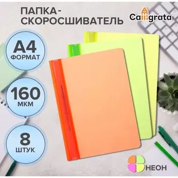 Набор папок-скоросшивателей А4, Calligrata Neon, 160 мкм, 8 штук, МИКС, прозрачный верх