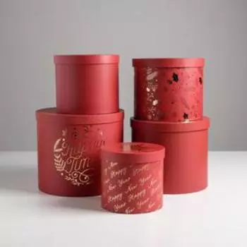 Набор подарочных коробок 5 в 1 «С новым годом!», 13 1419.5 22 см