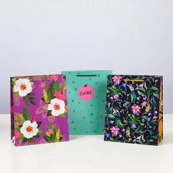 Набор подарочных пакетов "Воздушные впечатления", 26 х 32 х 12 см