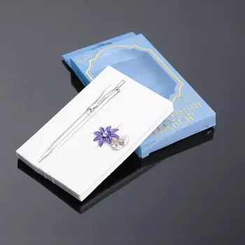 Набор подарочный 2в1 (ручка, брошка) микс