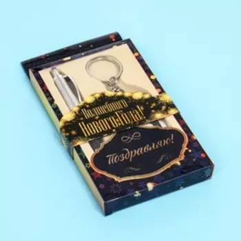 Набор подарочный 2 в 1, ручка, фонарик черный