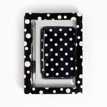 Набор подарочный 2в1 (ручка, визитница)