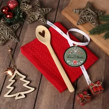 Набор подарочный Доляна «Тепла и уюта»: бордовый, полотенце 3560 см, хл 100%, ваф 220 г/м