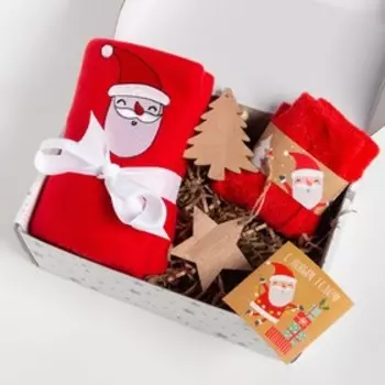Набор подарочный Santa: плед, носки, игрушка