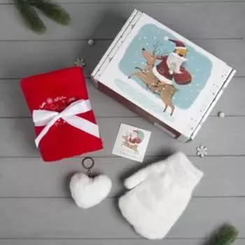 Набор подарочный «Тепла и уюта в Новом году» плед, варежки, брелок