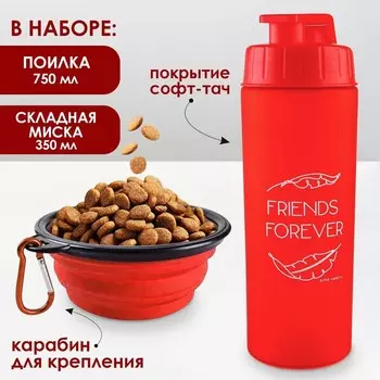 Набор поилка и силиконовая миска «Друзья навсегда»