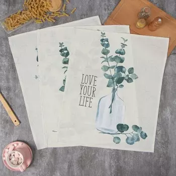 Набор кухонных полотенец «Доляна. Эвкалипт», 4560 см - 3 шт., рогожка 158 г/м, 50% хлопок, 50% пэ