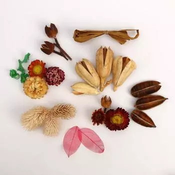 Набор природного декора "Солнце на ладошке"