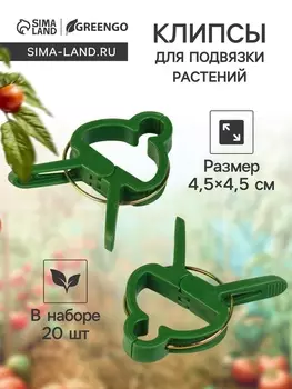 Набор прищепок для растений, 4.54.5 см, 20 шт., пластик, зелёные, Greengo