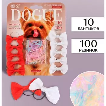 Набор резинок для собак DOGUE