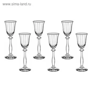 Набор рюмок «Анжела», отводка платина, 60 мл, 6 шт.