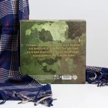 Набор "С Днём защитника Отечества!", теплый шарф (195х35 см) и ручка