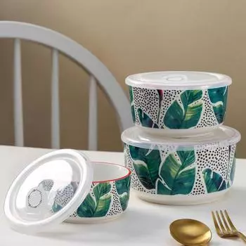 Набор салатников керамический с крышками «Папоротник», 3 предмета, 300/550/950 мл, 16×8/14×7/12,5×5,5 см