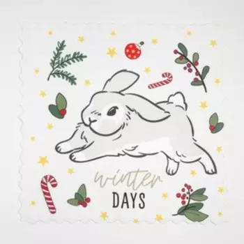 Набор салфеток Доляна Winter days 20х20 см-2 шт, микрофибра
