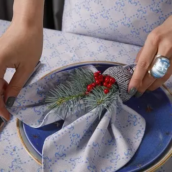 Набор салфеток Мари Санна бык Гуч 35х35см 4шт, цвет голубой, рогожка, 150г/м, 100% хлопок