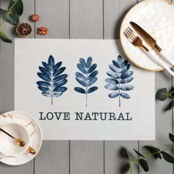 Набор салфеток на стол 2 шт. Доляна "Garden" ПВХ 40*29см