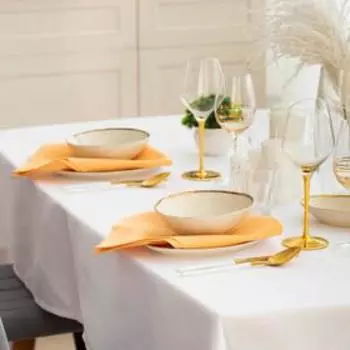 Набор салфеток «Этель» Shine, 4545 см, бежевый, с пропиткой ВГМО, 192 г/м