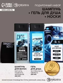 Подарочный набор «Самый крутой», шампунь для волос 250 мл, гель для душа 250 мл и мужские носки, Чистое счастье
